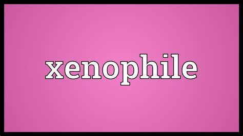 Xenophile Definition & Meaning .